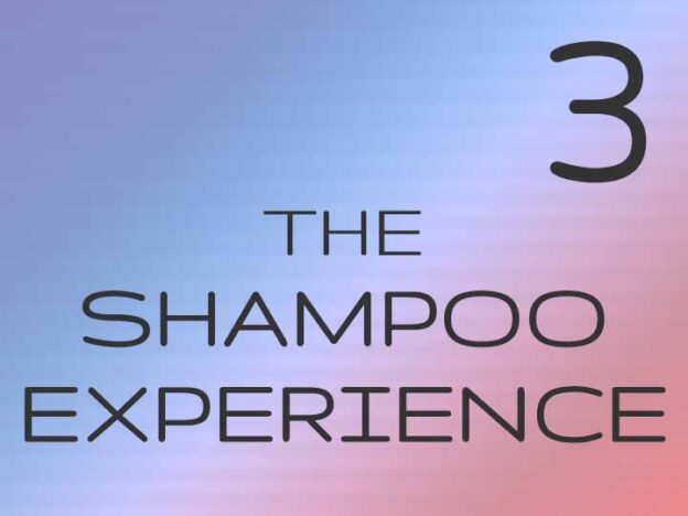 3 - The Shampoo Experience
