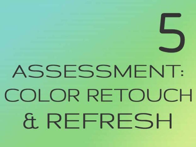 5 - Assessment: Color Retouch and Refresh