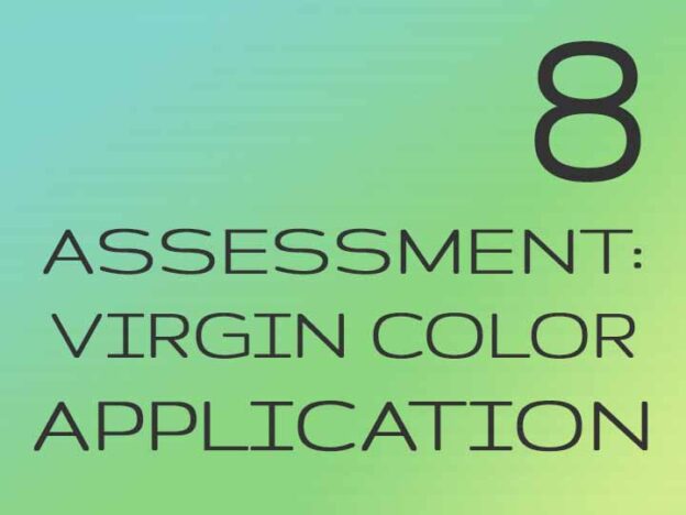 8 - Assessment: Virgin Color Application