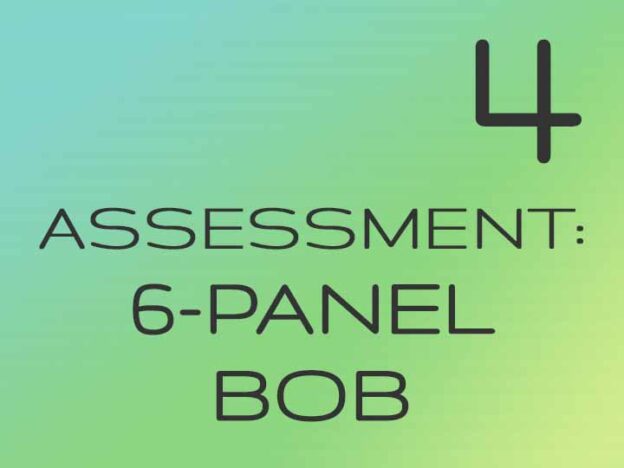 4 - Assessment: The 6-Panel Bob
